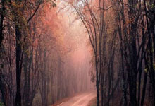 开云体育官网：[NBA]八村塁晃飞杜兰特 突破篮下灌筐得手.