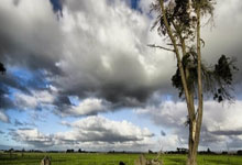 开云体育官网：[NBA]八村塁晃飞杜兰特 突破篮下灌筐得手.