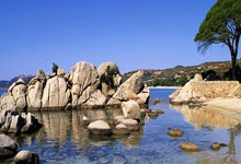 坚持160公里通勤，拒绝住宿训练基地，莱斯特城球员遭范尼封杀.